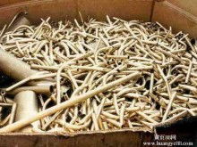  溫州市龍灣狀元力天緊固件制品廠 銷售部 主營 生產鐵銅鋁不銹鋼鋅合